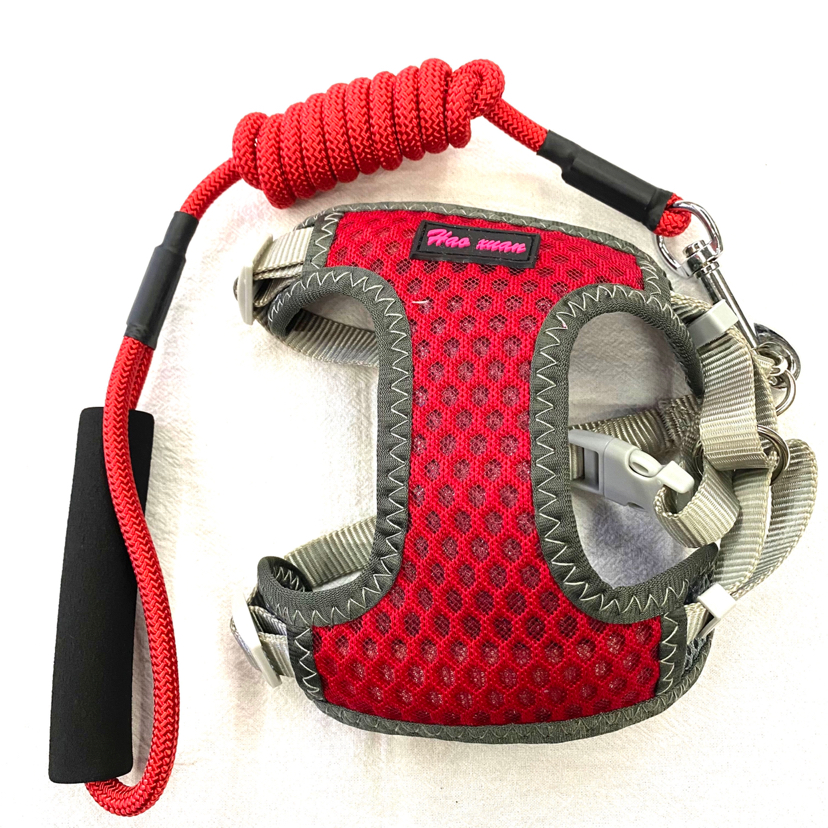 Pet Chain Breathable Mesh Back + Hand Holding Rope