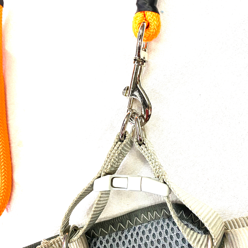 Pet Chain Breathable Mesh Back + Hand Holding Rope