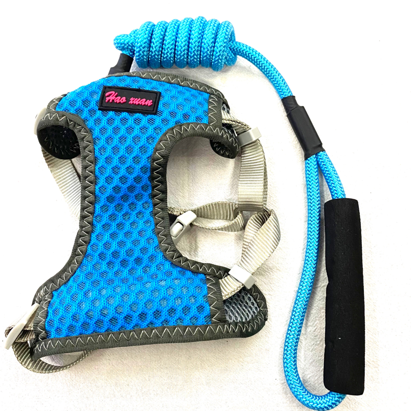 Pet Chain Breathable Mesh Back + Hand Holding Rope