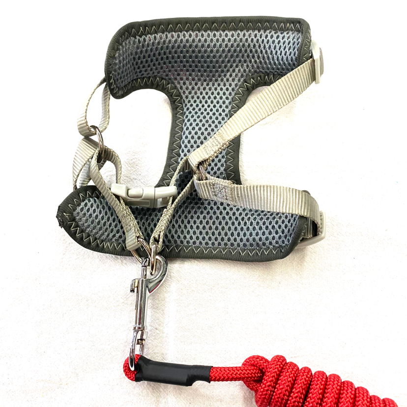Pet Chain Breathable Mesh Back + Hand Holding Rope