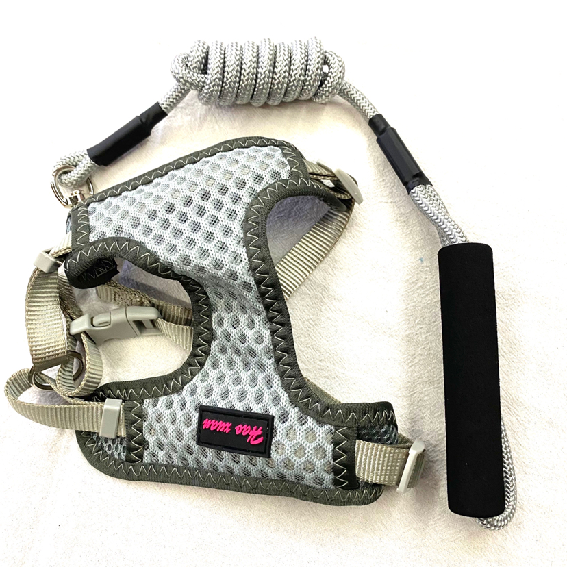 Pet Chain Breathable Mesh Back + Hand Holding Rope