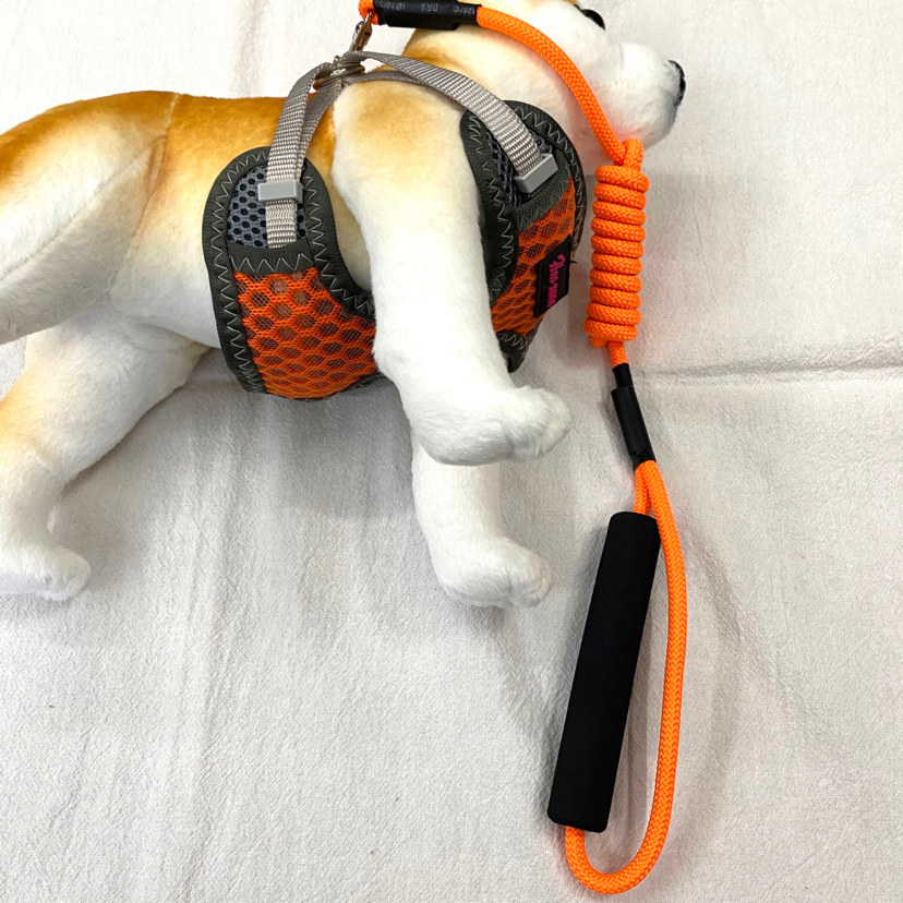 Pet Chain Breathable Mesh Back + Hand Holding Rope