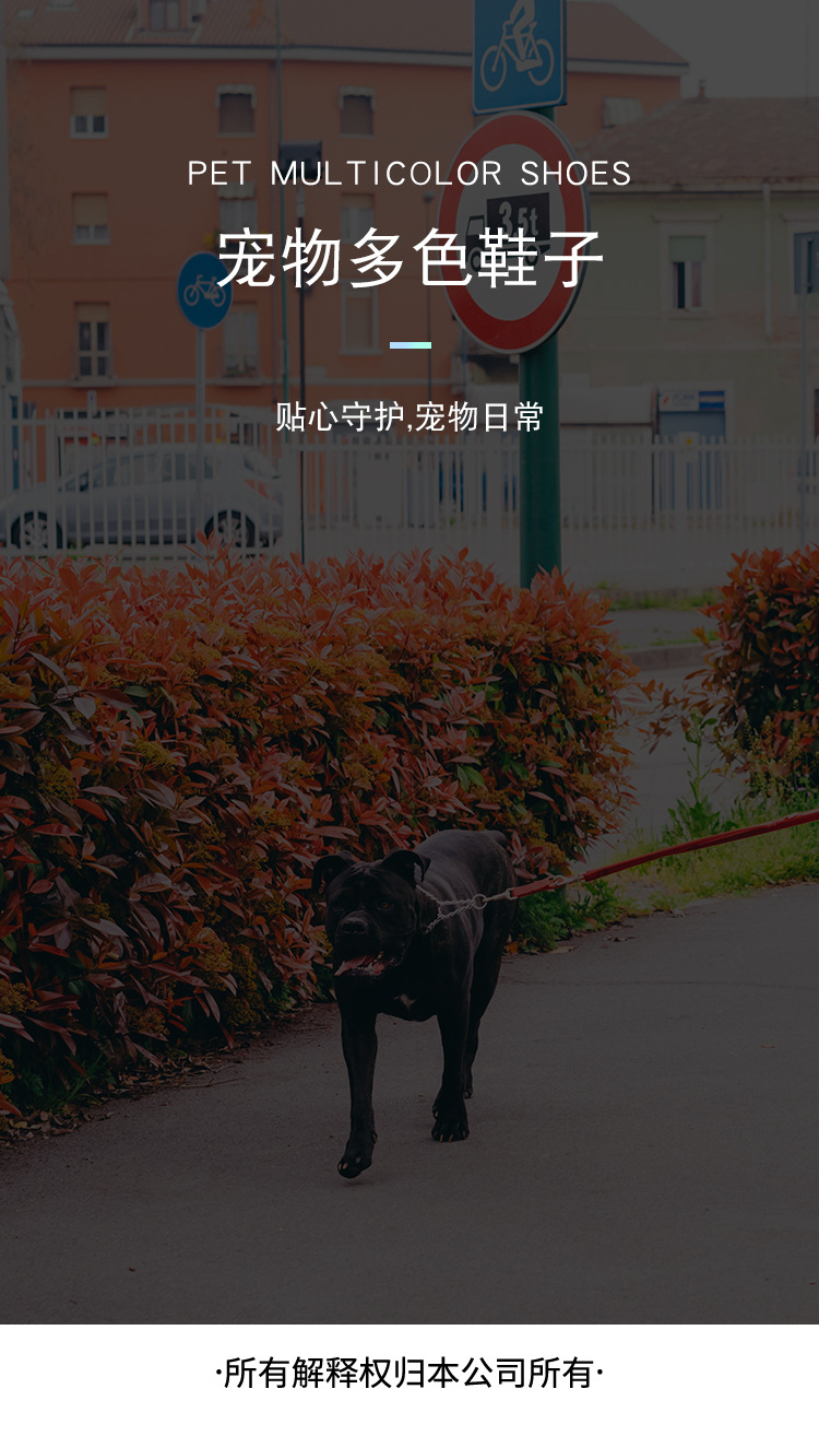Dog Soft Shoes Puppy Shoes Toddler Non-Slip Pet Shoe Cover Rain Boots Pet Shoes Foot Cover One Product Dropshipping Dog Soft Shoes Puppy Shoes Toddler Non-Slip Pet Shoe Cover Rain Boots Pet Shoes Foot Cover One Product Dropshipping