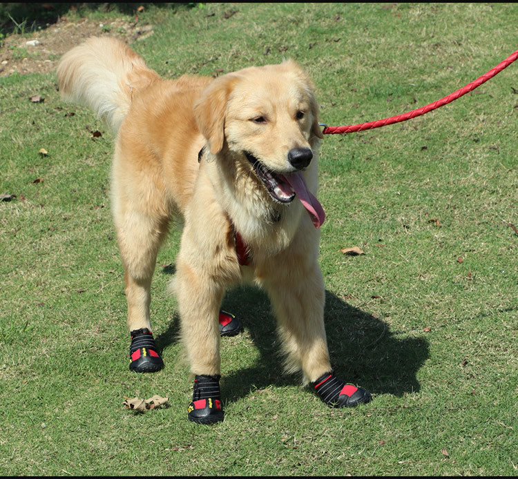 Cross - border special for pet shoes big dog waterproof rain snow shoes golden hair samoye husky German shepherd, manufacturers direct sales Cross - border special for pet shoes big dog waterproof rain snow shoes golden hair samoye husky German shepherd, manufacturers direct sales