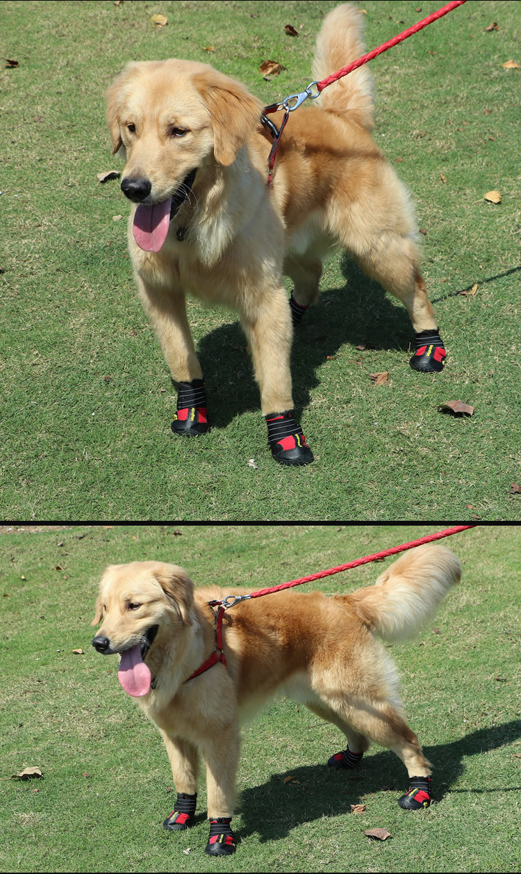 Cross - border special for pet shoes big dog waterproof rain snow shoes golden hair samoye husky German shepherd, manufacturers direct sales Cross - border special for pet shoes big dog waterproof rain snow shoes golden hair samoye husky German shepherd, manufacturers direct sales