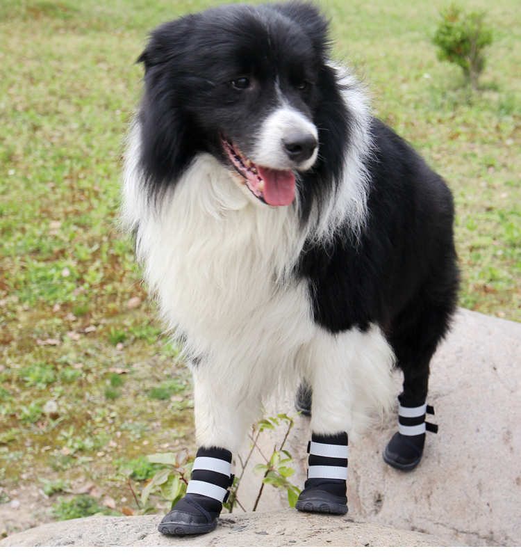 Lanboer blue wave pet shoes reflective pair of dog shoes with dog shoes.