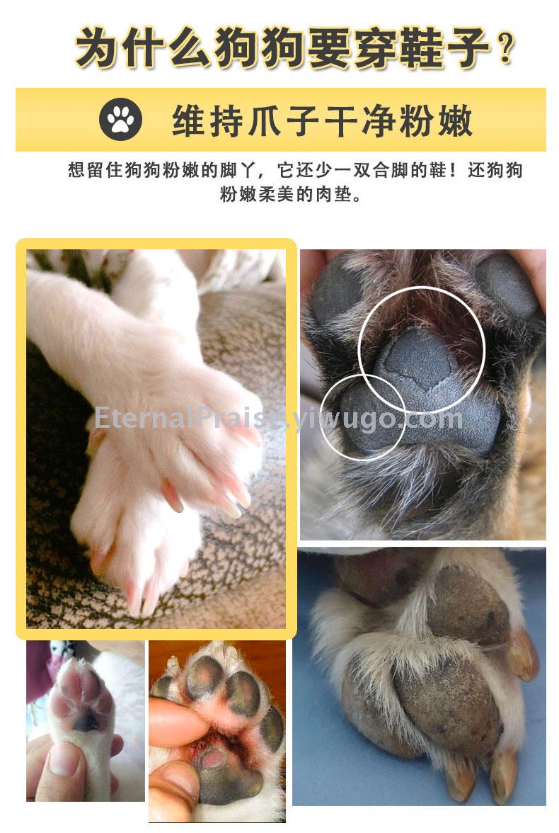 Anti skid and wear resistant dog shoes pet shoes snow boots autumn and winter new teddy cat cotton shoes