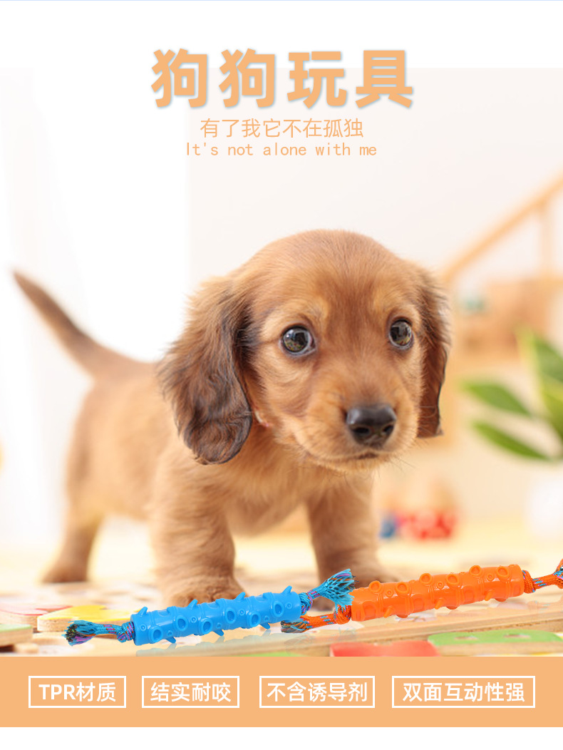 New Cotton Knot Molar Rod Pet TPR Rope Bamboo Toy Pet Dog Toothbrush Tear-Resistant Biting Dog Toy