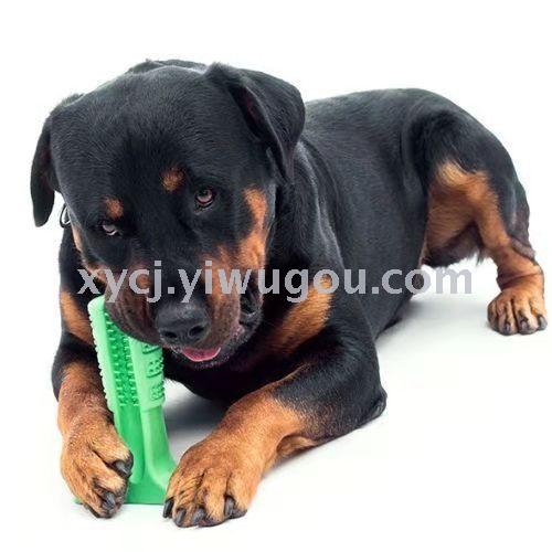 Pet dog toothbrush Bristly dog toothbrush oral teeth teeth clean molar rod rod