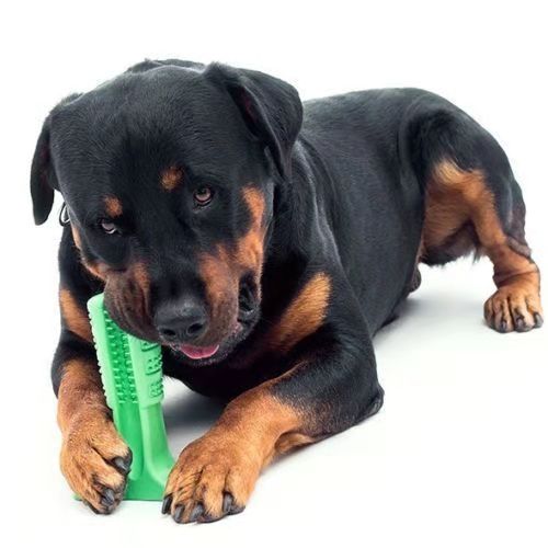 Pet dog toothbrush Bristly dog toothbrush oral teeth teeth clean molar rod rod