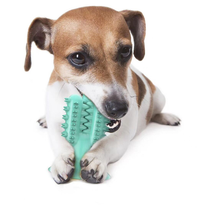 Pet Supplies Amazon New Dog Toothbrush Dog Molar Tooth Cleaning Stick Leakage Food Feeder Bite-Resistant Dog Interactive Toy