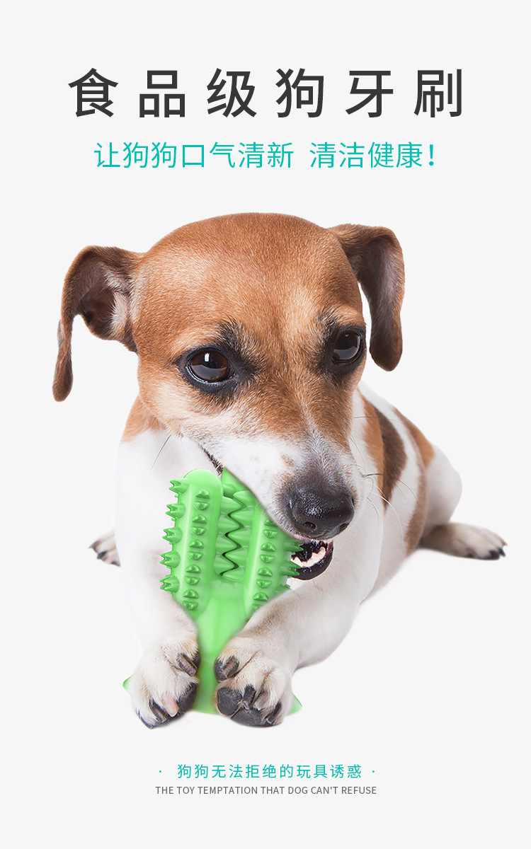 Pet Supplies Amazon New Dog Toothbrush Dog Molar Tooth Cleaning Stick Leakage Food Feeder Bite-Resistant Dog Interactive Toy