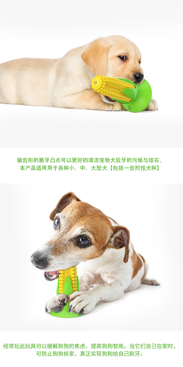 Pet Supplies Factory Home New Hot Amazon Dog Toy Corn Molar Rod Dog Toothbrush Pumpkin Long Throws