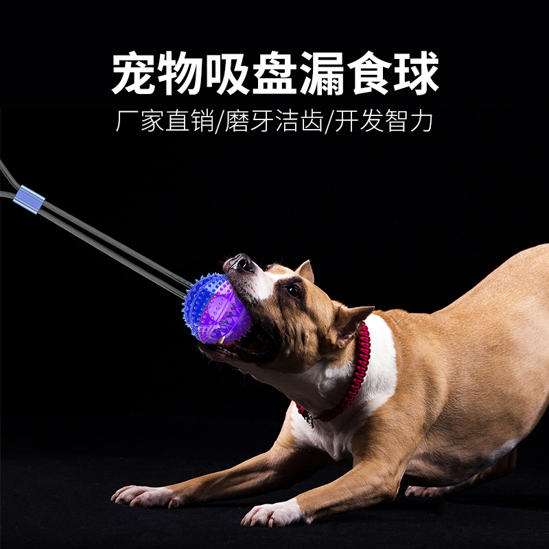 Pet Supplies 2020 Dog Toys Pet Sucker Food Dropping Ball Pet Toy Ball Dog Toothbrush