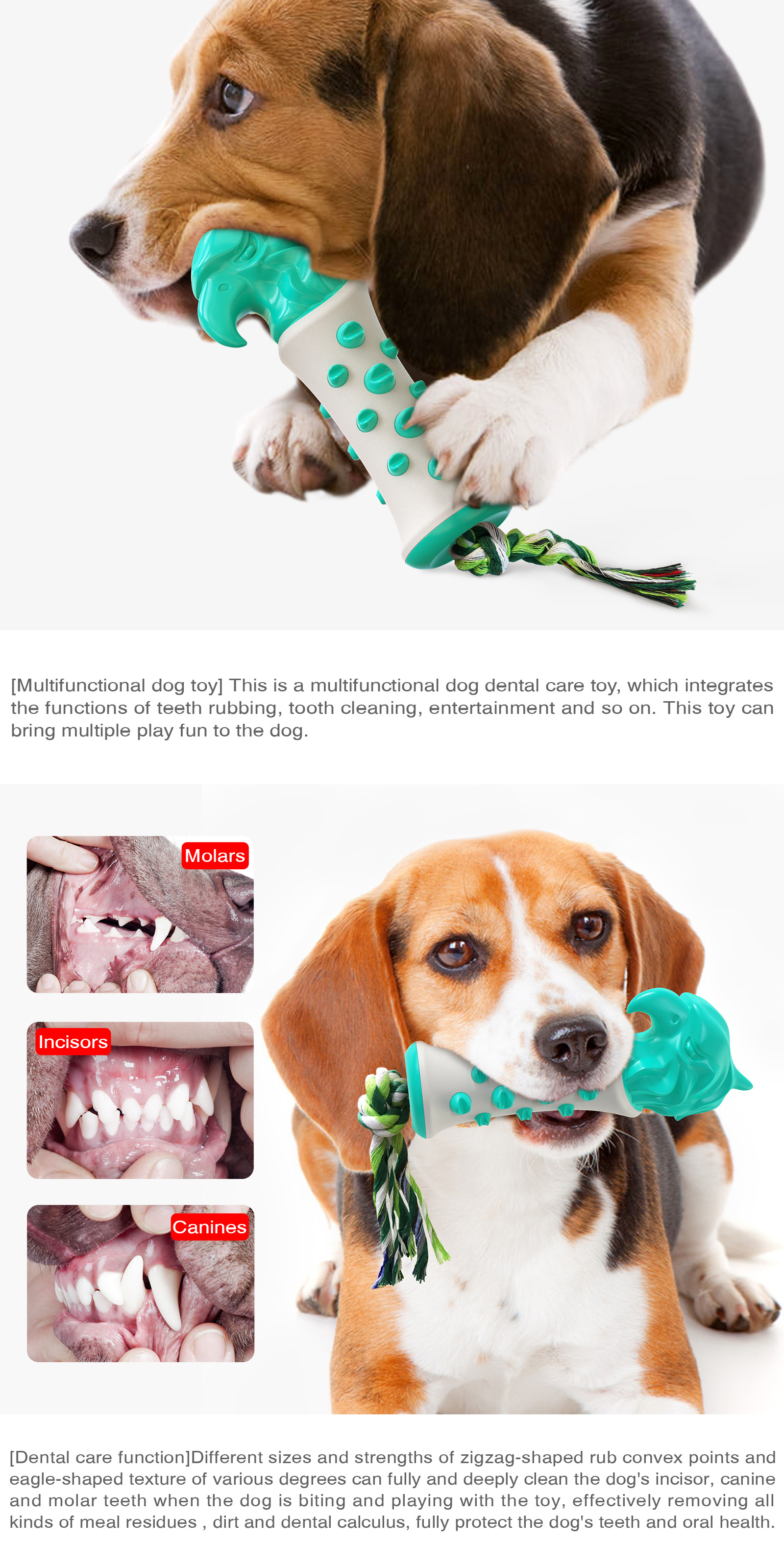 Pet Supplies Factory New Popular Amazon Dog Toy Truncheon Molar Rod Bite-Resistant Tooth Cleaning Dog Toothbrush