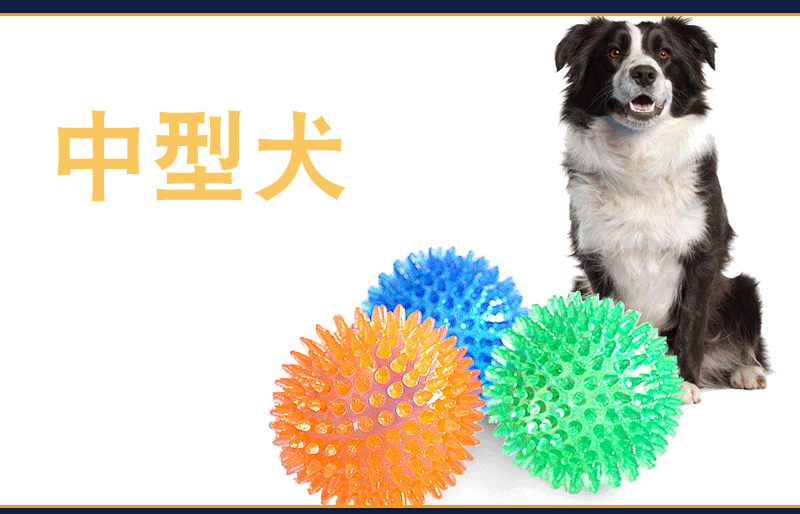 Cross-Border Hot Sale Pet Supplies Bite Vocal Toy Ball Dog Bite-Resistant Elastic Ball Dog Bite Toy Acanthosphere Cross-Border Hot Sale Pet Supplies Bite Vocal Toy Ball Dog Bite-Resistant Elastic Ball Dog Bite Toy Acanthosphere