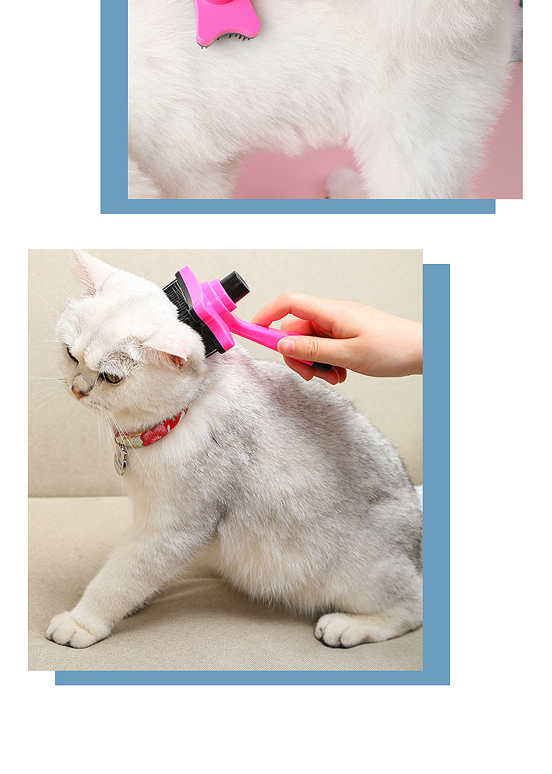 Pet Comb Dog Cat Hair Removal Brush Pet Supplies One-Click Hair Removal Cat Comb Cross-Border Pet Cleaning Brush Pet Comb Dog Cat Hair Removal Brush Pet Supplies One-Click Hair Removal Cat Comb Cross-Border Pet Cleaning Brush