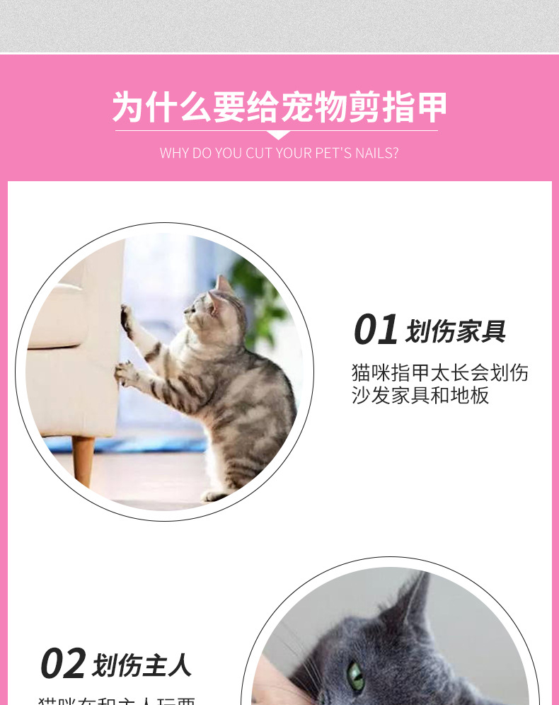 Stainless Steel Pet Nail Clipper Nail Clippers Set Cat Nail Trimming Dog Cleaning Beauty Tools Currently Available Stainless Steel Pet Nail Clipper Nail Clippers Set Cat Nail Trimming Dog Cleaning Beauty Tools Currently Available
