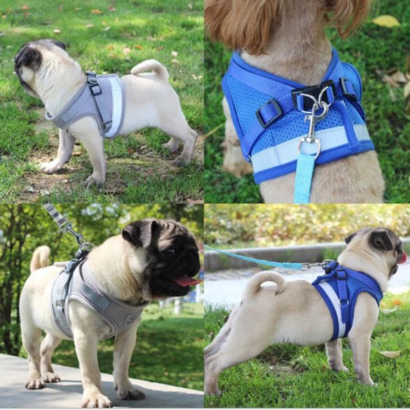 Cross-Border Dog Traction Suit Cat Pulling Rope Reflective Chest and Back Clothing Dog Harness Small and Medium-Sized Pet Supplies Wholesale