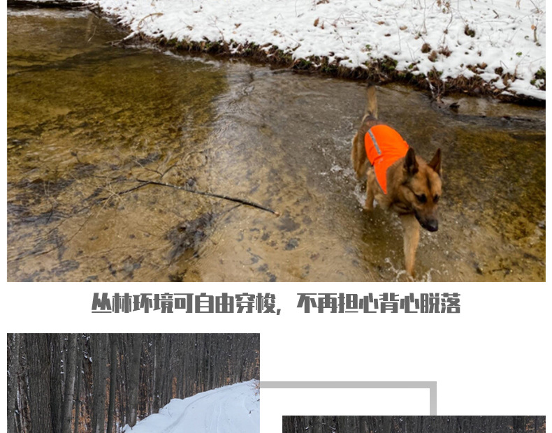 Factory Direct Sales Led Orange Luminous Pet Vest USB Rechargeable Reflective Dog Clothes Waterproof Chest Back Pet Supplies