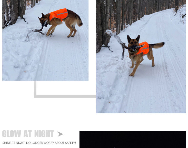 Factory Direct Sales Led Orange Luminous Pet Vest USB Rechargeable Reflective Dog Clothes Waterproof Chest Back Pet Supplies