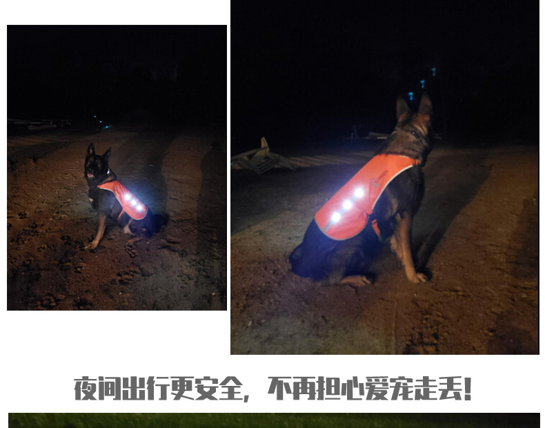 Factory Direct Sales Led Orange Luminous Pet Vest USB Rechargeable Reflective Dog Clothes Waterproof Chest Back Pet Supplies