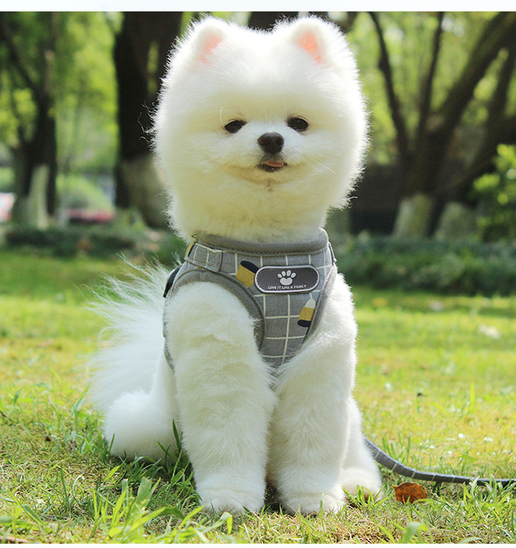 Pet Leash Vest-Style Dog Breast Strap Small and Medium-Sized Dogs Leash Cat Chest Back Currently Available Wholesale
