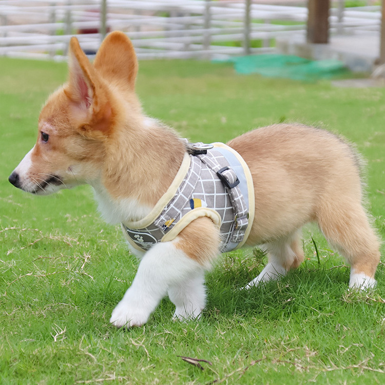 Pet Leash Vest-Style Dog Breast Strap Small and Medium-Sized Dogs Leash Cat Chest Back Currently Available Wholesale