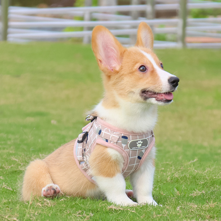 Pet Leash Vest-Style Dog Breast Strap Small and Medium-Sized Dogs Leash Cat Chest Back Currently Available Wholesale