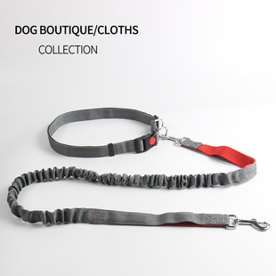 Hot Selling Pet Leash Dog Breast Strap Small and MediumSized Dogs round Rope Chest Back Traction Supplies Whole