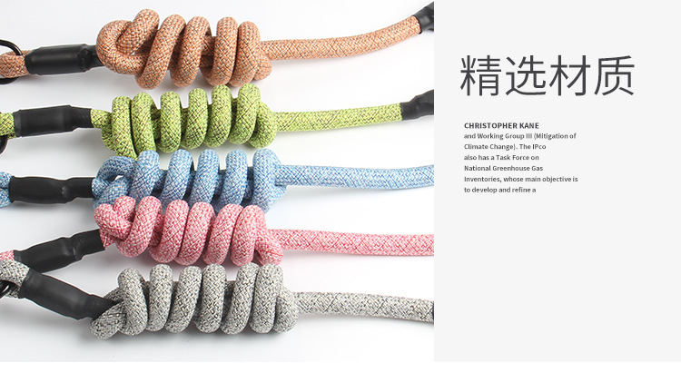 Hot Selling Pet Leash Dog Breast Strap Small and MediumSized Dogs round Rope Chest Back Traction Supplies Whole