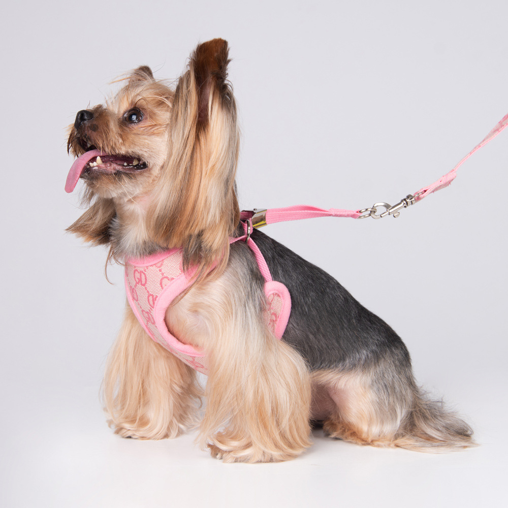 Amazon New Style Pet's Chest-Back Dog Hand Holding Rope Dog Rope out Collar Hand Holding Rope Pet Supplies Factory