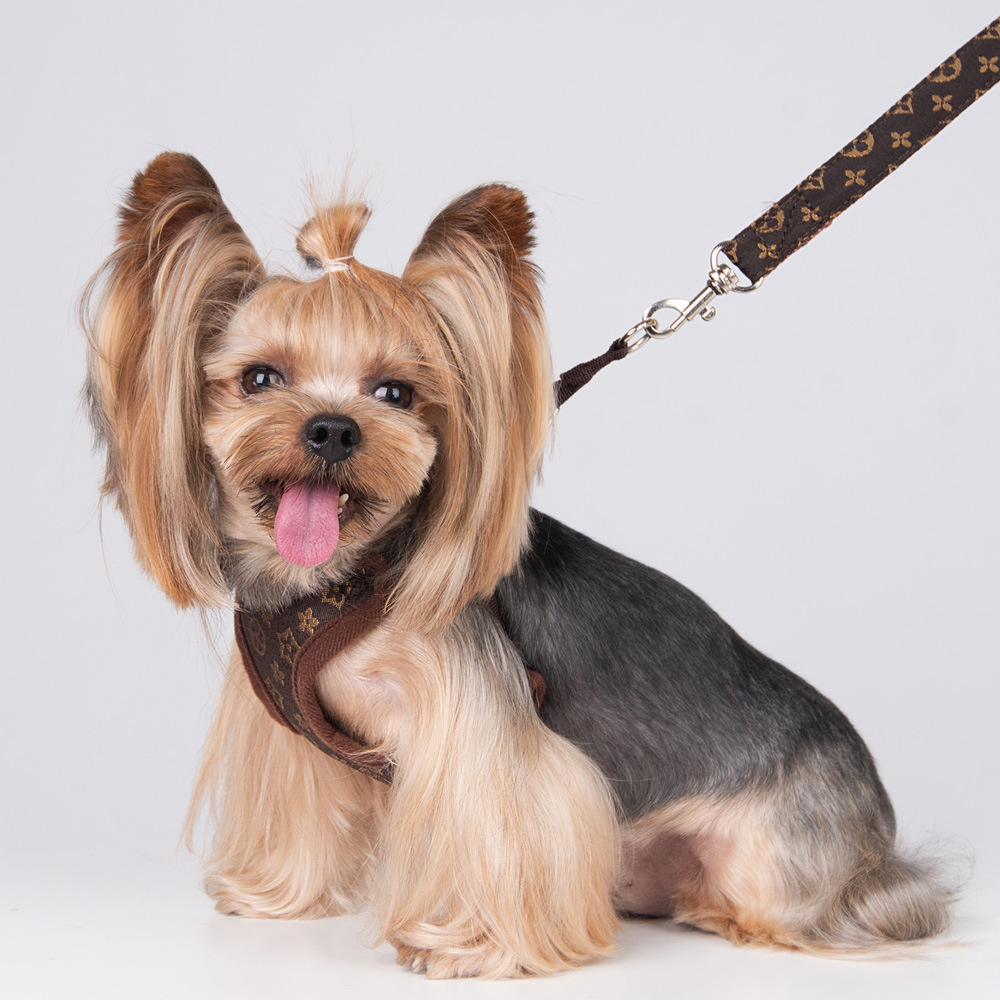 Amazon New Style Pet's Chest-Back Dog Hand Holding Rope Dog Rope out Collar Hand Holding Rope Pet Supplies Factory
