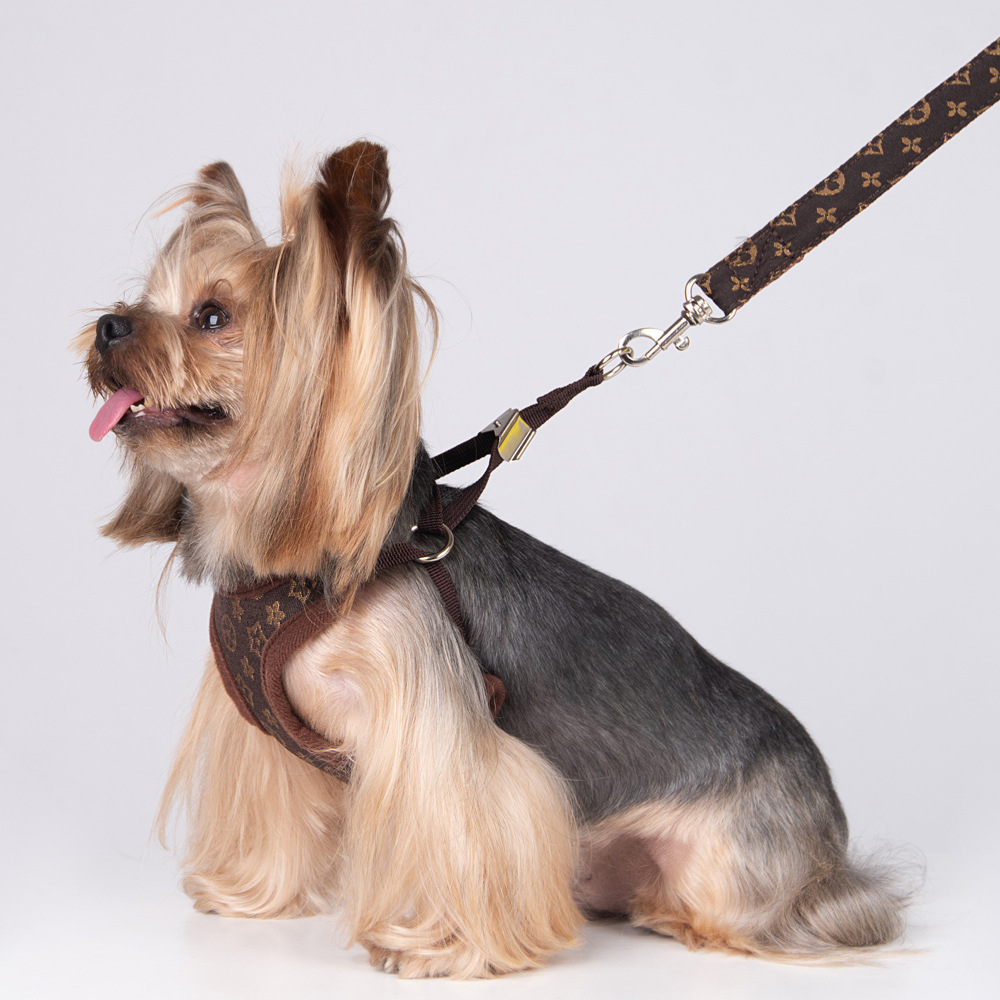 Amazon New Style Pet's Chest-Back Dog Hand Holding Rope Dog Rope out Collar Hand Holding Rope Pet Supplies Factory