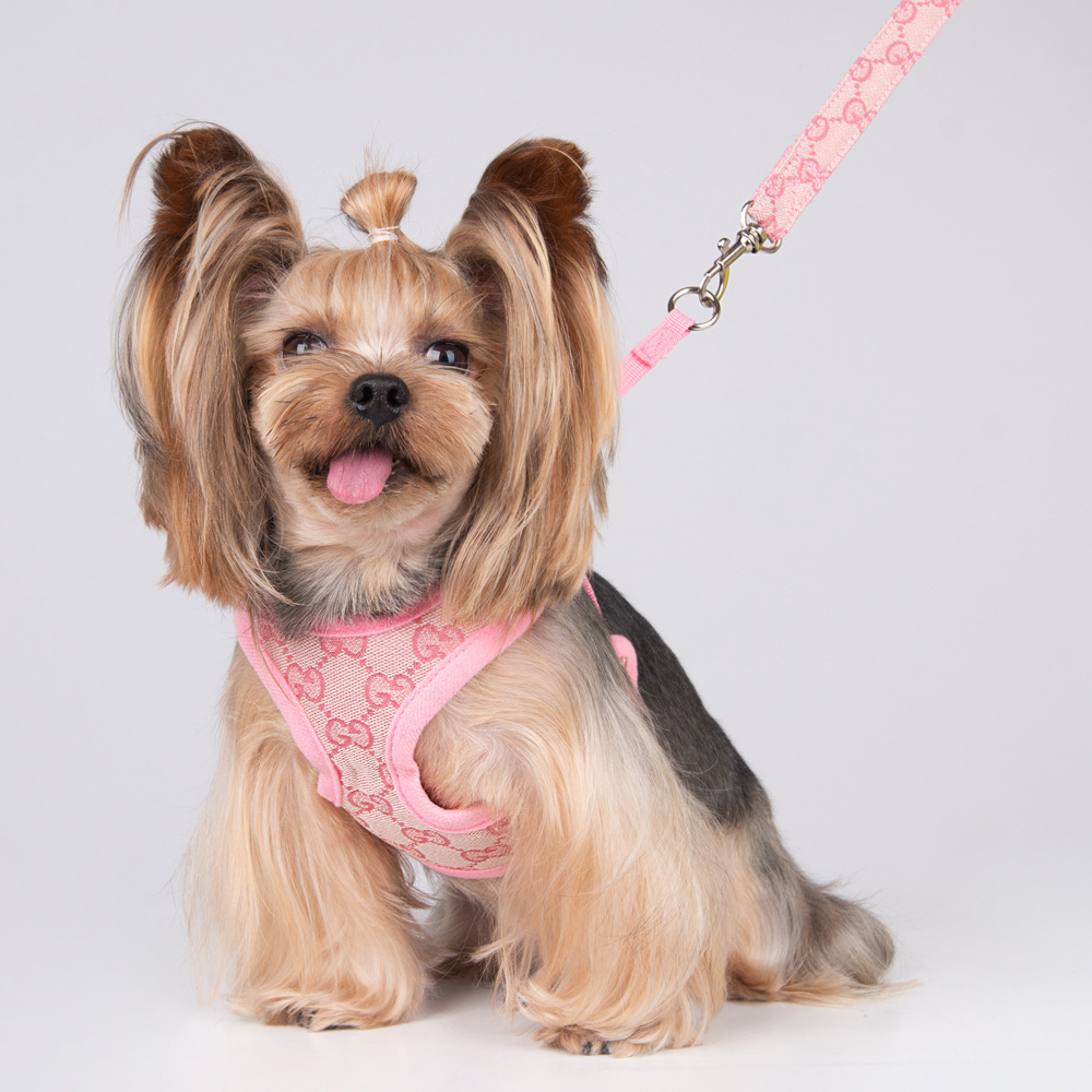 Amazon New Style Pet's Chest-Back Dog Hand Holding Rope Dog Rope out Collar Hand Holding Rope Pet Supplies Factory