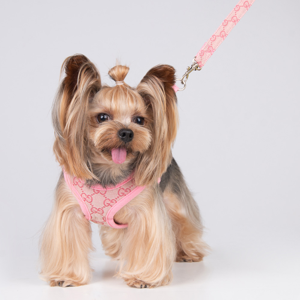 Amazon New Style Pet's Chest-Back Dog Hand Holding Rope Dog Rope out Collar Hand Holding Rope Pet Supplies Factory