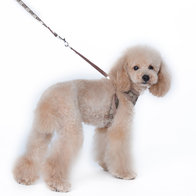 Amazon New Style Pet's Chest-Back Dog Hand Holding Rope Dog Rope out Collar Hand Holding Rope Pet Supplies Factory