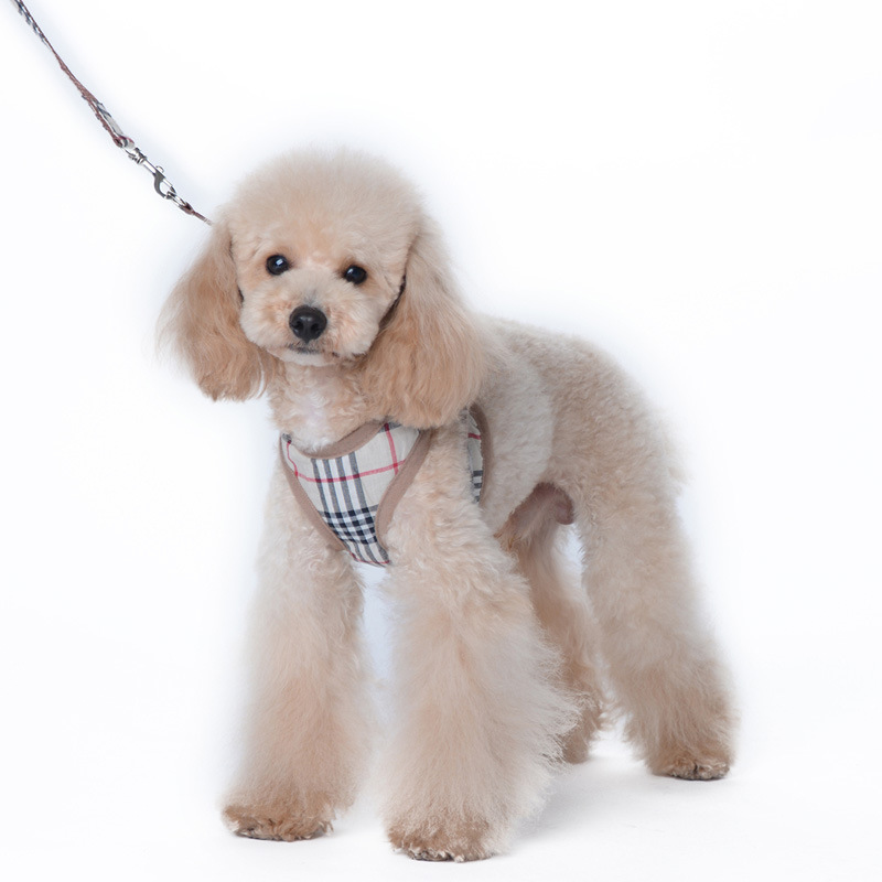 Amazon New Style Pet's Chest-Back Dog Hand Holding Rope Dog Rope out Collar Hand Holding Rope Pet Supplies Factory