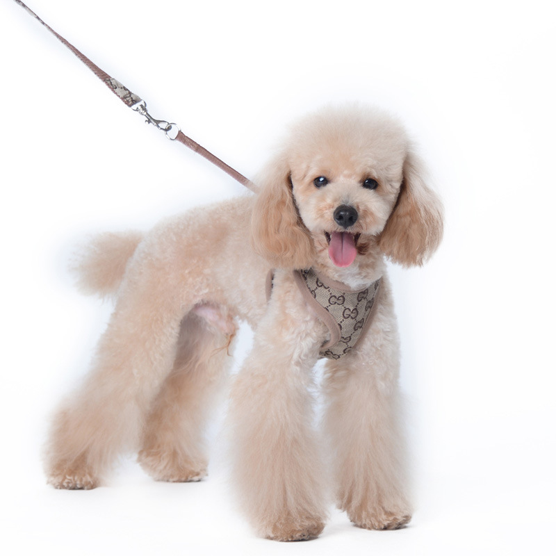 Amazon New Style Pet's Chest-Back Dog Hand Holding Rope Dog Rope out Collar Hand Holding Rope Pet Supplies Factory