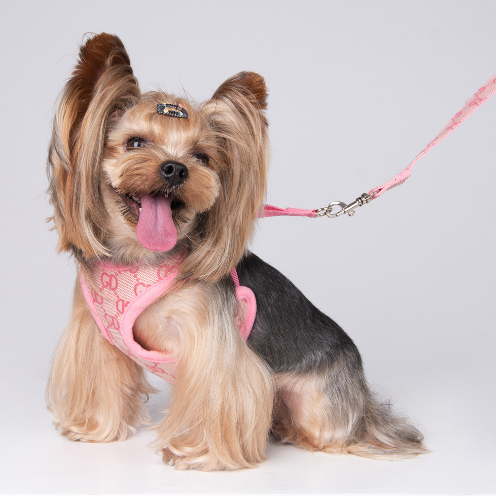 Amazon New Style Pet's Chest-Back Dog Hand Holding Rope Dog Rope out Collar Hand Holding Rope Pet Supplies Factory