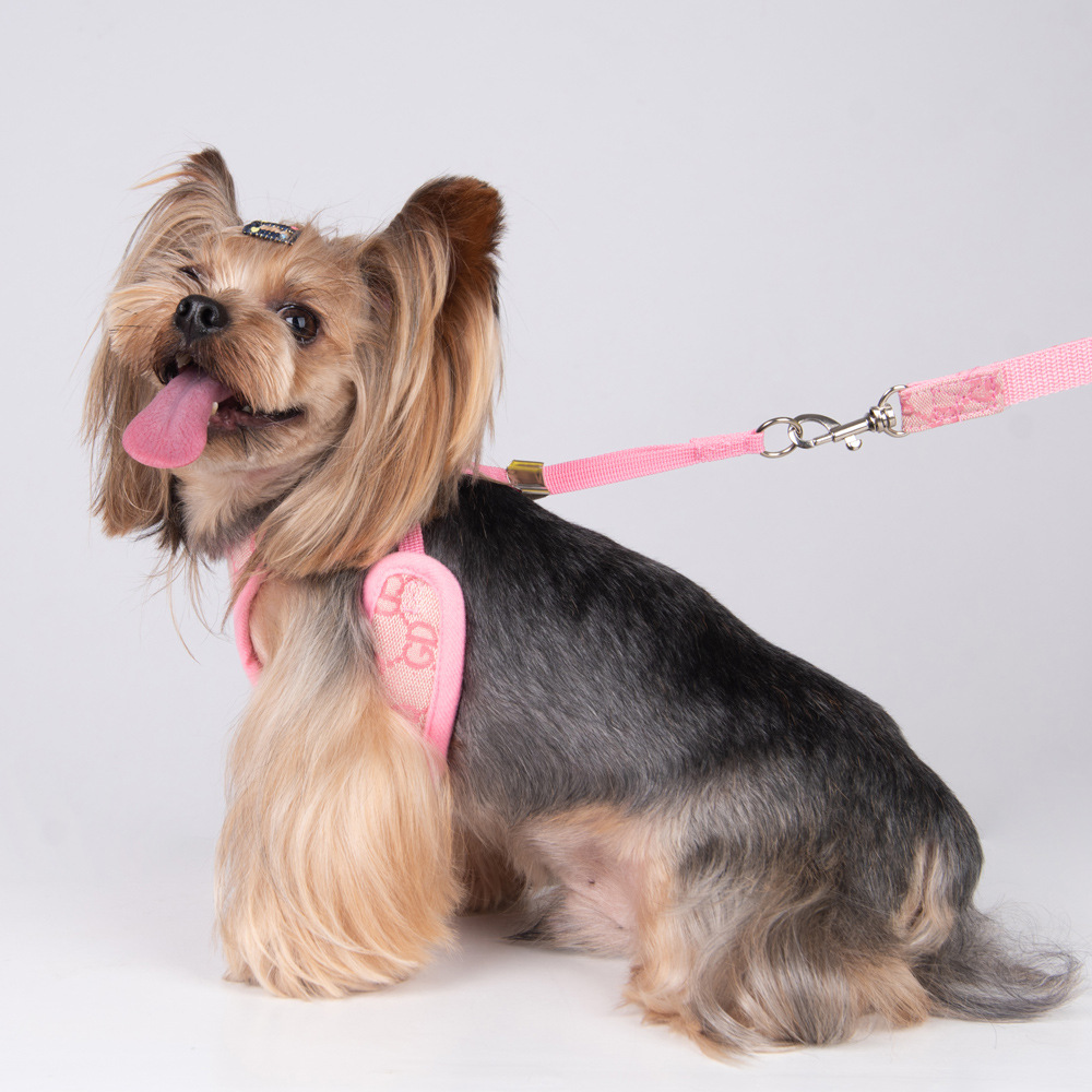 Amazon New Style Pet's Chest-Back Dog Hand Holding Rope Dog Rope out Collar Hand Holding Rope Pet Supplies Factory