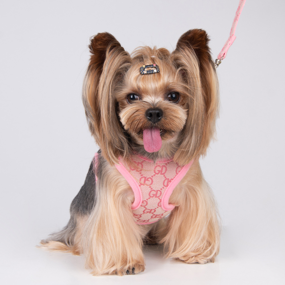 Amazon New Style Pet's Chest-Back Dog Hand Holding Rope Dog Rope out Collar Hand Holding Rope Pet Supplies Factory