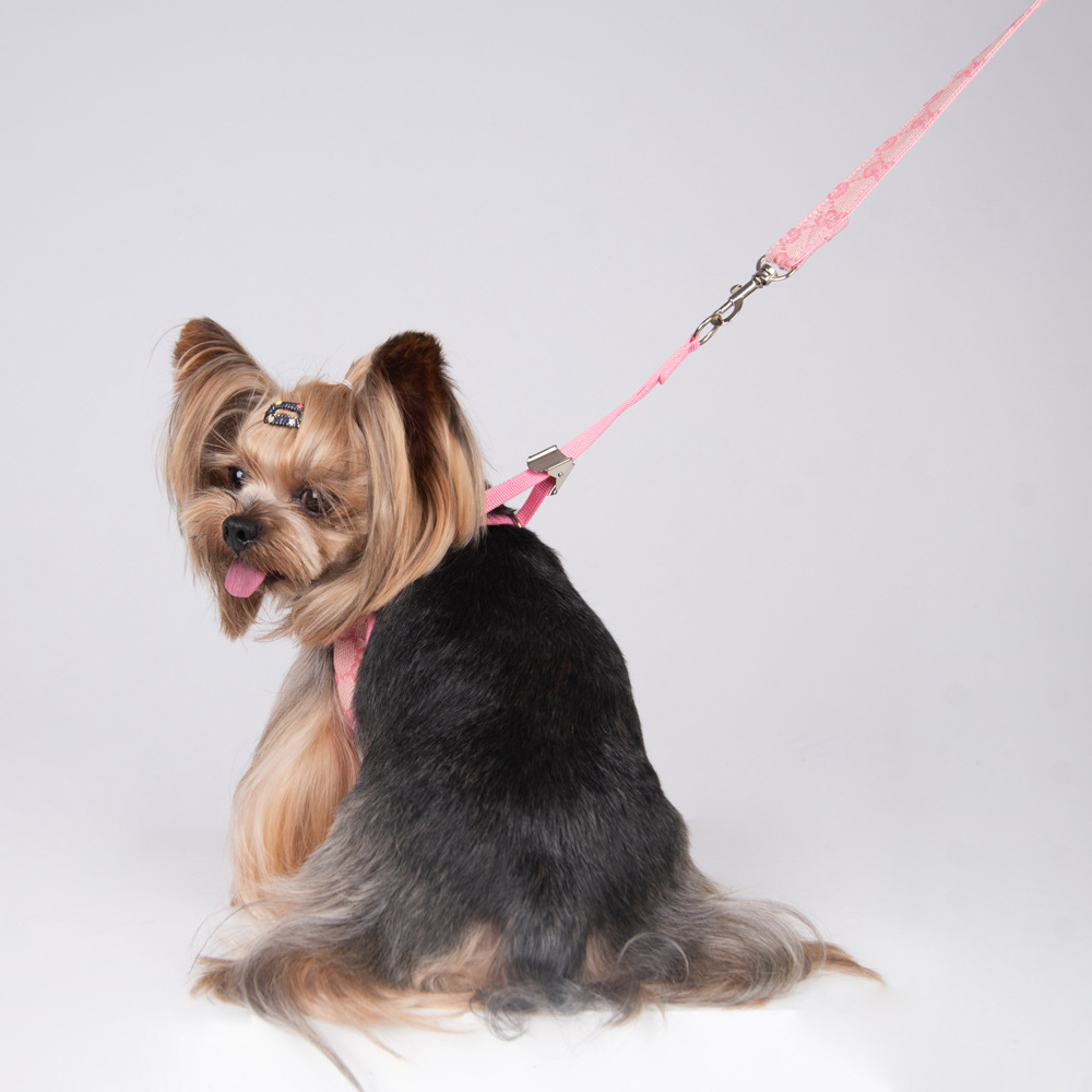 Amazon New Style Pet's Chest-Back Dog Hand Holding Rope Dog Rope out Collar Hand Holding Rope Pet Supplies Factory