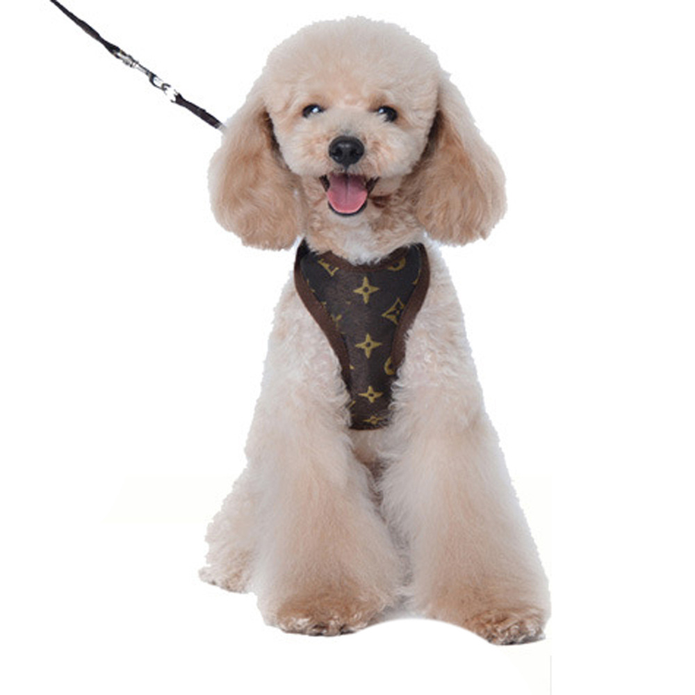 Amazon New Style Pet's Chest-Back Dog Hand Holding Rope Dog Rope out Collar Hand Holding Rope Pet Supplies Factory