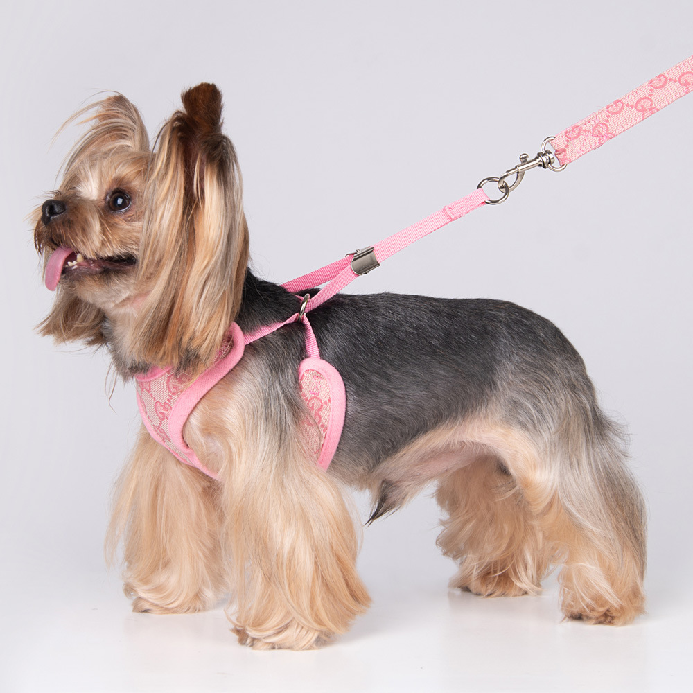 Amazon New Style Pet's Chest-Back Dog Hand Holding Rope Dog Rope out Collar Hand Holding Rope Pet Supplies Factory