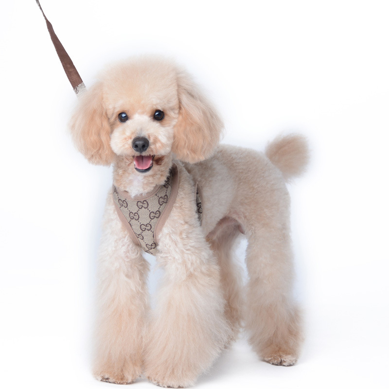 Amazon New Style Pet's Chest-Back Dog Hand Holding Rope Dog Rope out Collar Hand Holding Rope Pet Supplies Factory
