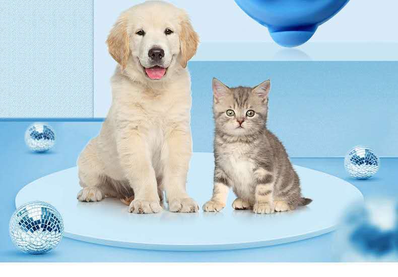 PET Soft Silicone Collar Bell Led Light Flasher Chest Back Luminous Pendant Night Safety Light Walking Cat Dog Supplies