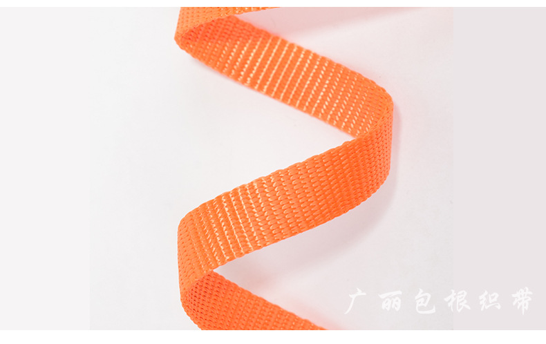 Direct Supply Imitation Nylon Pet Fabric Belt Traction Rope Chest and Back Pet Bag Ribbon Flat Belt Luggage Textile Accessories Customization