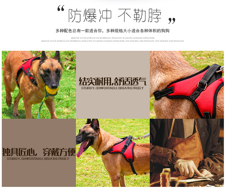 Pet's Chest-Back Medium Large Dog Dog Chain Explosion-Proof Chest Strap Dog Leash Dog Hand Holding Rope Factory Direct Sales