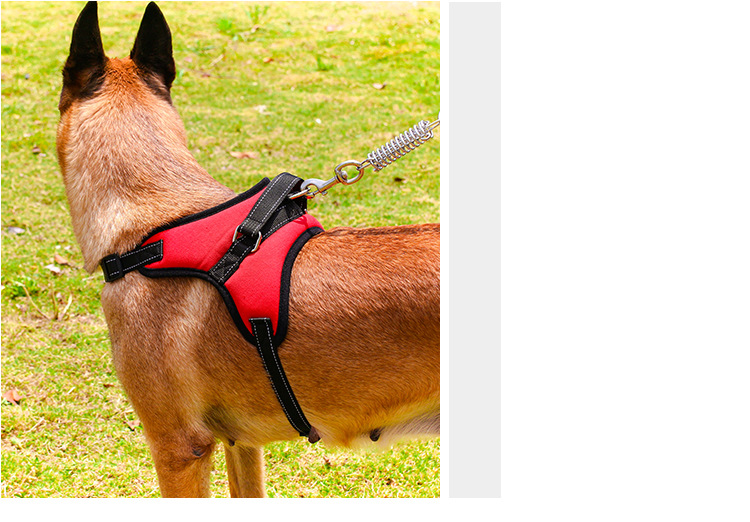 Pet's Chest-Back Medium Large Dog Dog Chain Explosion-Proof Chest Strap Dog Leash Dog Hand Holding Rope Factory Direct Sales